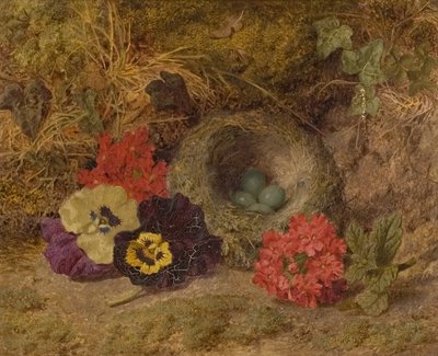 Ein Vogelnest, Stiefmütterchen und Eisenkraut, spätes 19. Jahrhundert von Thomas Worsey